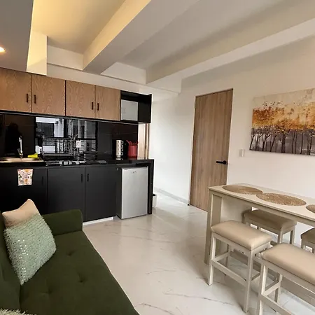 Centrico Departamento Enla Roma Apartment